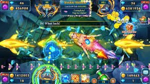 mm6801 Live Casino & Betting Platform